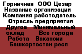 Горничная. ООО Цезар › Название организации ­ Компания-работодатель › Отрасль предприятия ­ Другое › Минимальный оклад ­ 1 - Все города Работа » Вакансии   . Башкортостан респ.